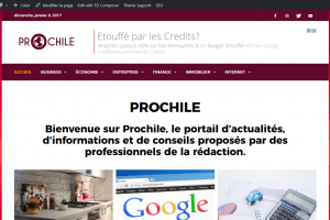 Prochile : le blog communautaire