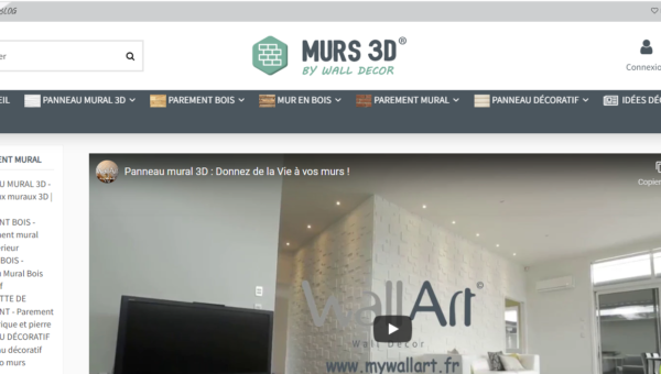 Murs 3D pour votre décoration